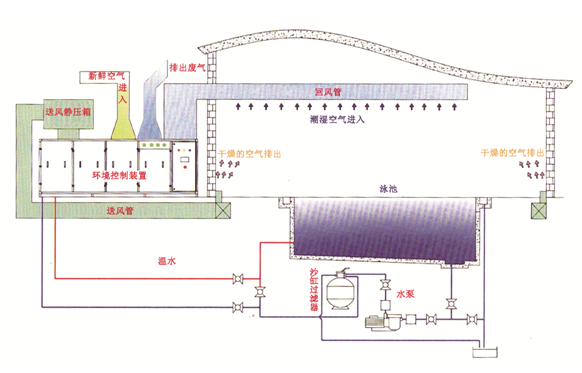 瀚宇水處理：如果做好這些，奧運(yùn)泳池怎么會(huì)“綠”?